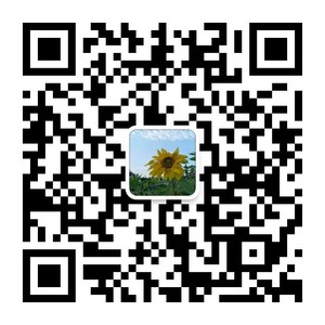 海迈培训邓老师个人微信.jpg